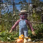 Frühstückspension Le Jardin Des 4 Saisons Ruaudin
