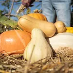 Frühstückspension Le Jardin Des 4 Saisons 4*