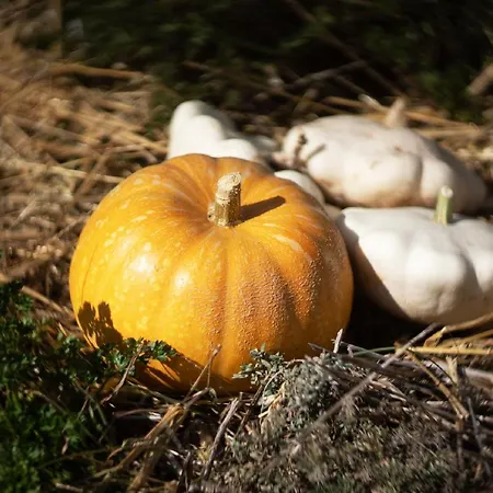 Le Jardin Des 4 Saisons 4*