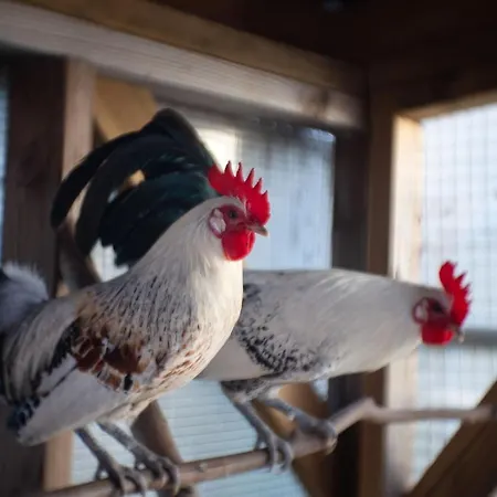 Le Jardin Des 4 Saisons 4* Ruaudin