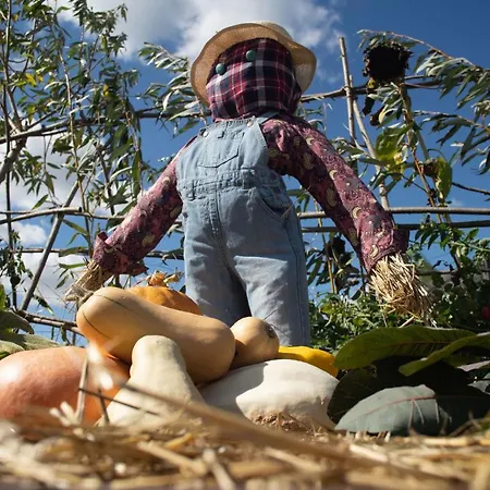 Le Jardin Des 4 Saisons Bed & Breakfast Ruaudin