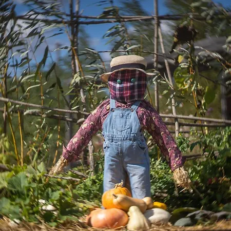 Bed & Breakfast Le Jardin Des 4 Saisons Ruaudin