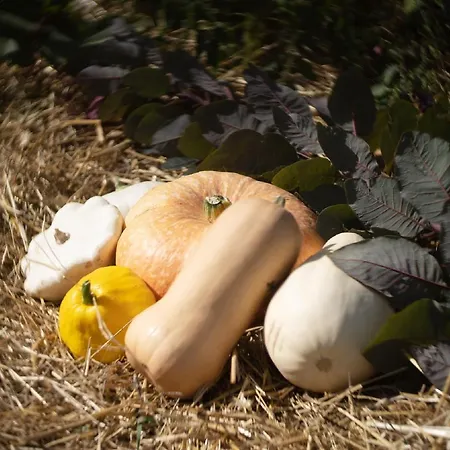Le Jardin Des 4 Saisons Ruaudin