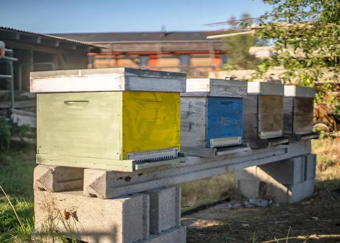 Oda ve Kahvaltı Le Jardin Des 4 Saisons 4*