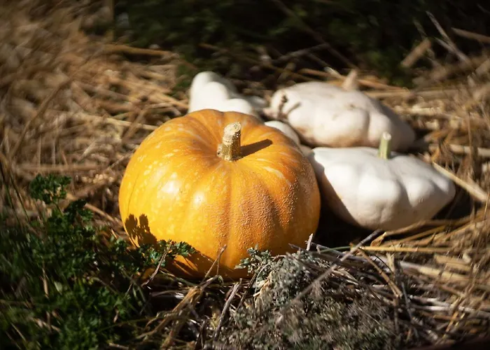 Le Jardin Des 4 Saisons 4*