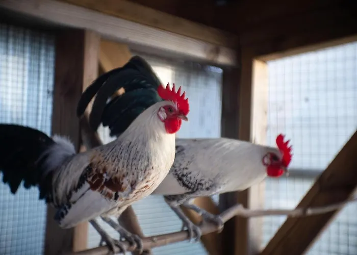 Le Jardin Des 4 Saisons 4* Ruaudin