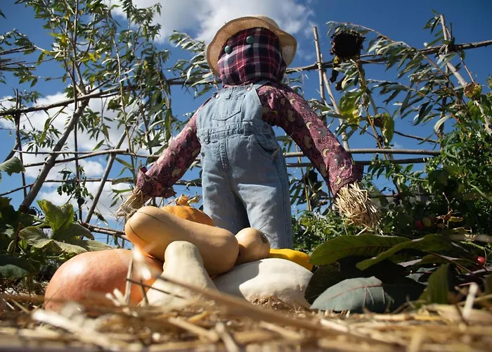 Le Jardin Des 4 Saisons Alojamento de Acomodação e Pequeno-almoço Ruaudin