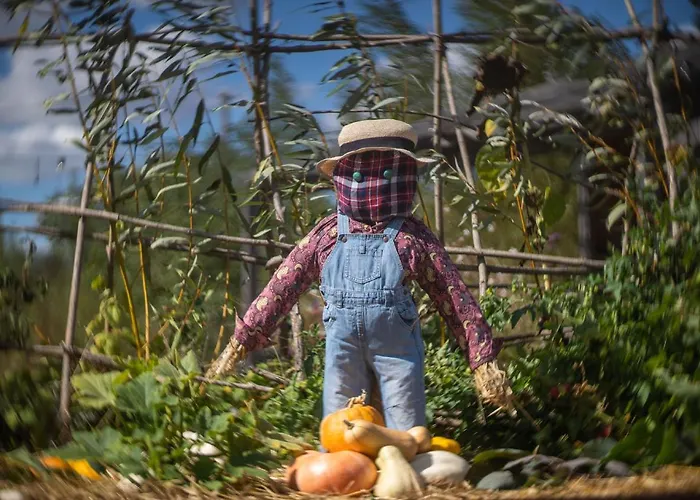 Couette-café Le Jardin Des 4 Saisons Ruaudin