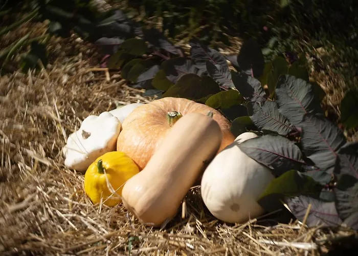 Le Jardin Des 4 Saisons Ruaudin